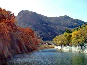 大三巴一肖二码最准，水杉基地